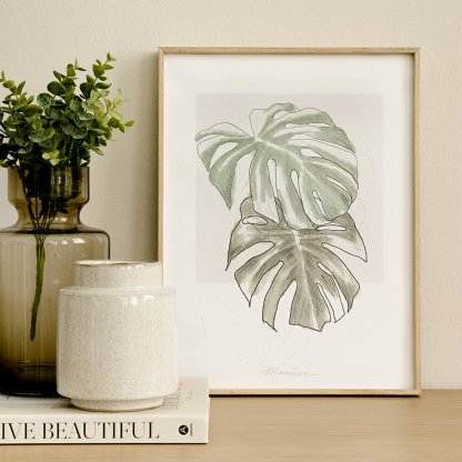 Monstera