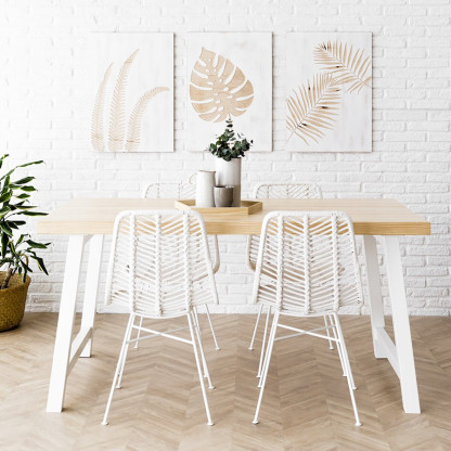 Monstera