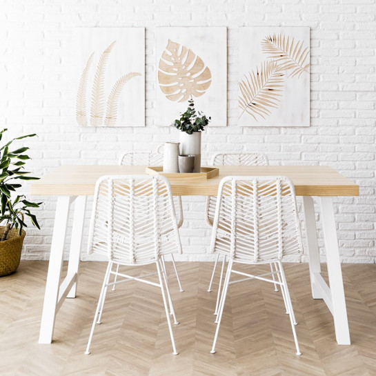 Monstera